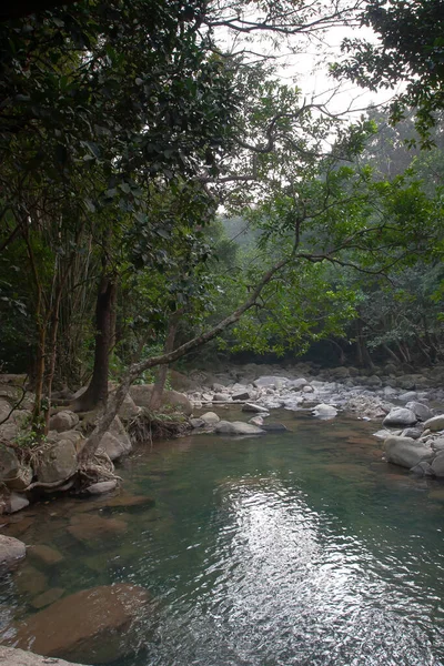 Pequeño Estanque Río Uppon Shing Mun Reservior —  Fotos de Stock