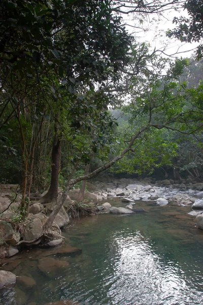 Pequeño Estanque Río Uppon Shing Mun Reservior —  Fotos de Stock