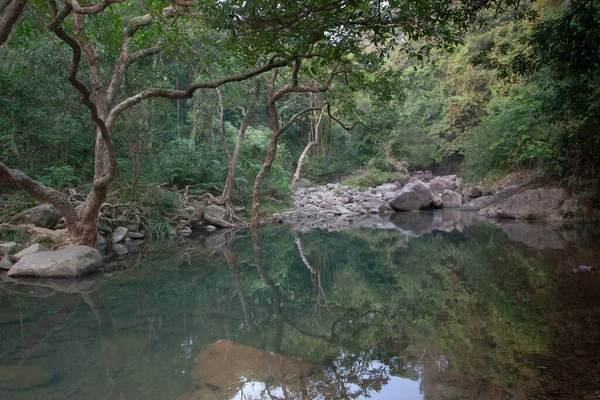 Nehrin yukarısındaki küçük gölet, Shing Mun Reservior.