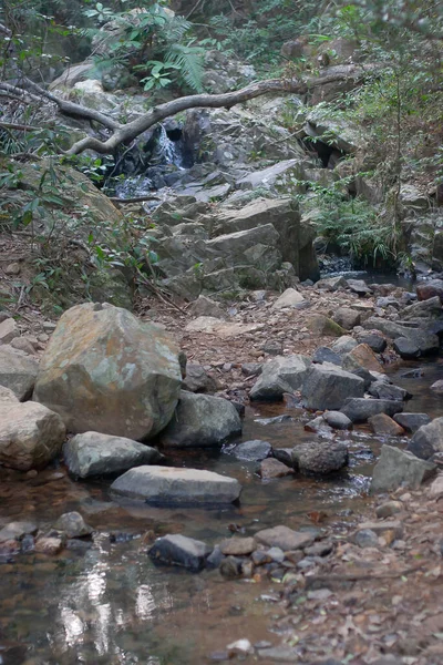 Paisaje Shing Mun Reservior Creek —  Fotos de Stock