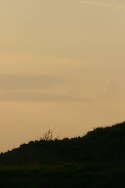the Lung Kwu Tan at Tuen Mun 2 July 2005