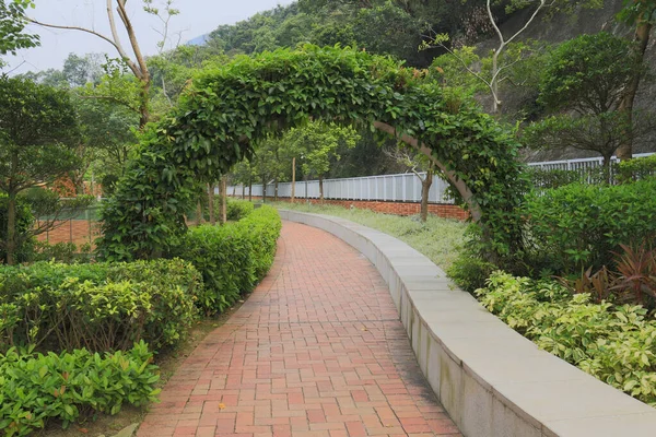 Panorama Vacker Stadspark Vid Hong Kong — Stockfoto