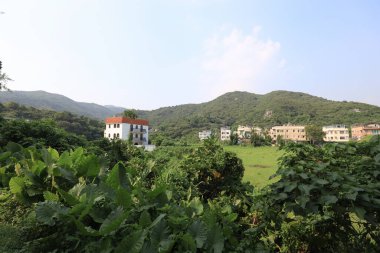 23 Temmuz 2021 Mui Wo 'daki Wang Tong köyünün manzarası.