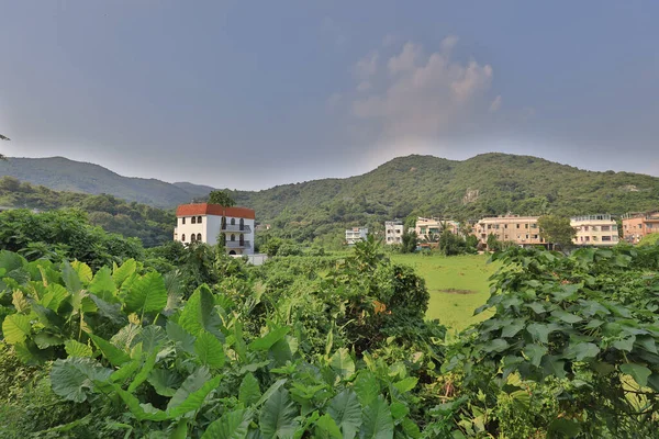 Juli 2021 Die Landschaft Des Dorfes Wang Tong Mui — Stockfoto