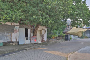 23 Temmuz 2021, Mui Wo Kırsal Komite Bulvarı, Mui Wo