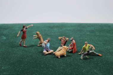 figür ustası ve evcil hayvan