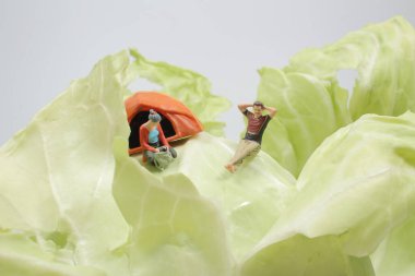 Mini figür plaj sandalyelerinde yeşil lahanalarda oturuyor.