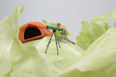 Mni figürü yeşil lahana üzerinde TELESCOP kullanın 