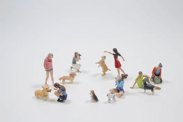 Mini Figure Master Pet — Stock Photo, Image