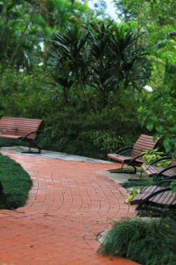 Park 'taki Boş Benç, Tai Po.