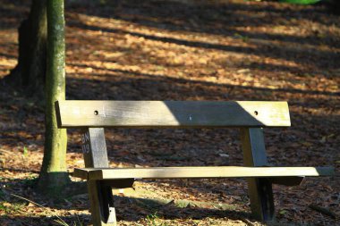 Hong Kong 'daki Spring Park' taki bank.