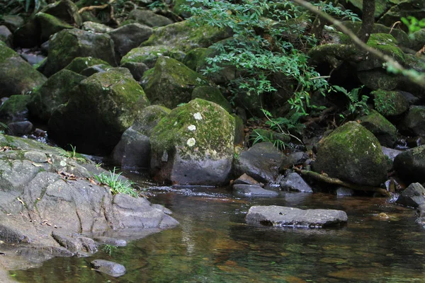 Paisaje Del Río Mang Gui Kiu — Foto de Stock