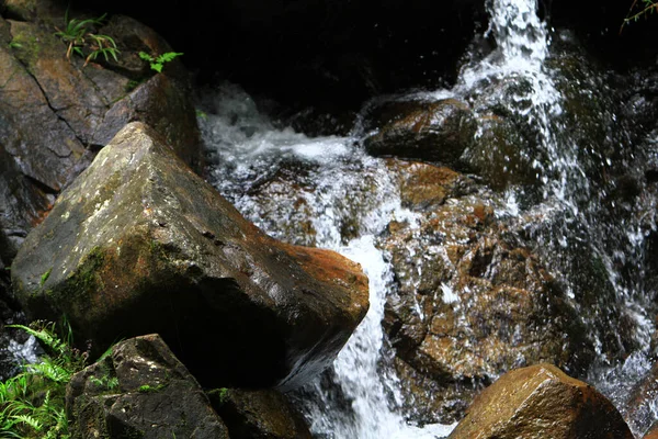 Landscape River Mang Gui Kiu — Stock Photo, Image