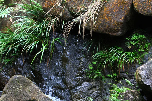 Paisaje Del Río Mang Gui Kiu — Foto de Stock