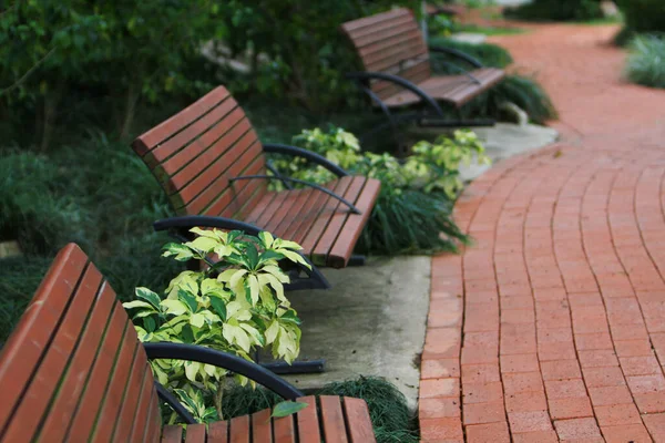 Empty Bench Trees Park Tai — Photo