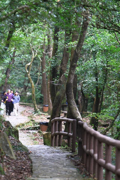 Tai Kau Nature Reserve Path Park — 图库照片