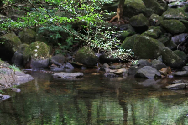 Paisaje Del Río Mang Gui Kiu — Foto de Stock