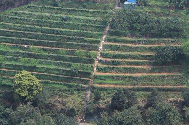 Terasların güzel manzarası, Hong Kong.