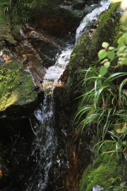 Hong Kong doğasındaki Nehirde Taşlar ve Kayalar