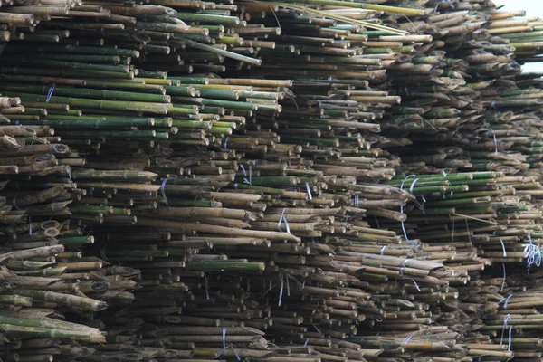 Stos Suchych Bambusowych Patyków Zewnątrz Drzwi — Zdjęcie stockowe