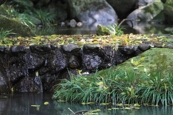 Stones Rocks River Hong Kong Nature — Stock Photo, Image