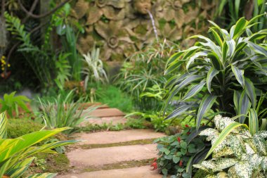 Çiçek fuarındaki Tayland tarzı bahçeler.