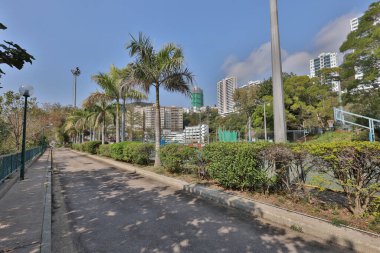 Dinlenmek için harika bir yer. Sahildeki ağaç.