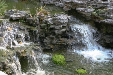 Hong Kong, Lingnan Çin Bahçesi 'nde taşlı havuz.