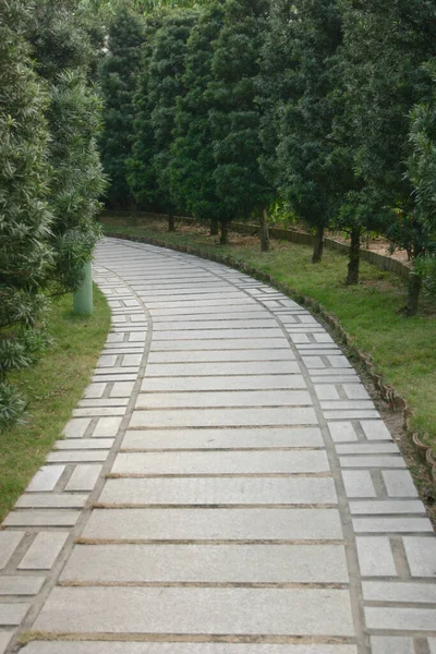 Sentiero Cemento Nel Parco Verde Della Città — Foto Stock