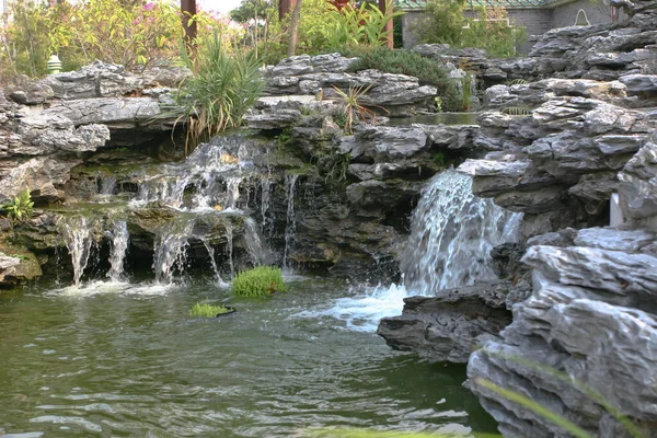 Hong Kong, Lingnan Çin Bahçesi 'nde taşlı havuz.