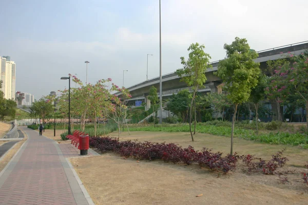 Dec 2004 Landskapet Lai Chi Kok Park Hong Kong — Stockfoto