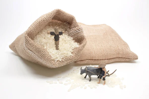 Mini Rice Farmer Bag Rice — Stock Photo, Image