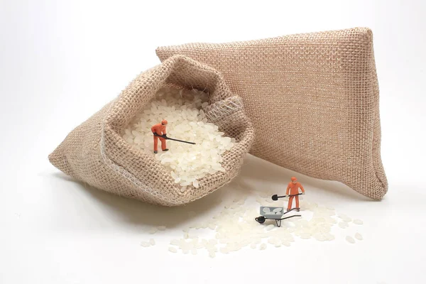 Mini Figure Worker Rice — Stock Photo, Image