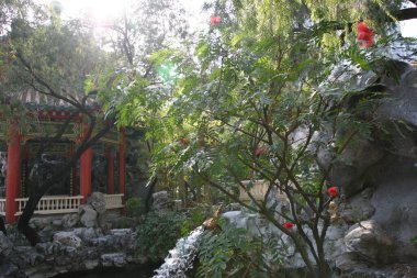 12 Aralık 2004, Ching Chung Koon 'daki bahçe Tuen Mun' da bulundu.