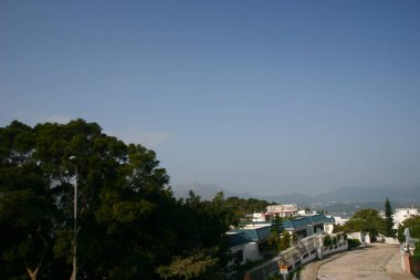 26 Aralık 2004 yolu ve Hong Kong kırsalında yeşil ağaç.