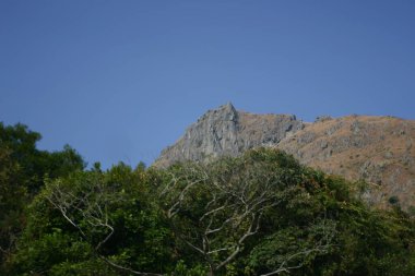 Kowloon Tepesi manzarası, Fei Ngo Shan Hong Kon