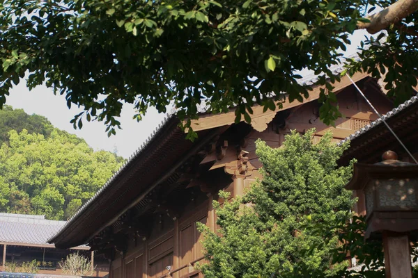 Aralık 2004 Chi Lin Nunnery Tang Hanedanlığı Tarzı Tapınak Hong — Stok fotoğraf