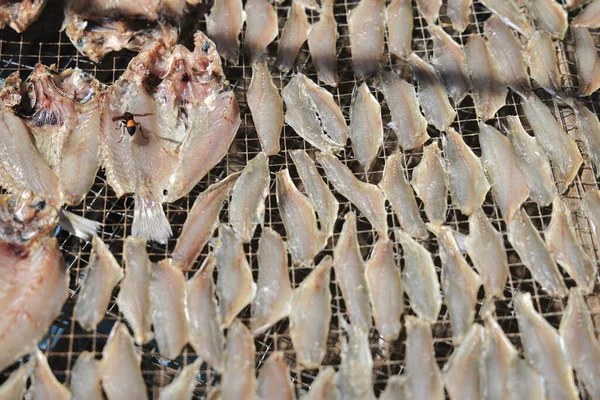 Trocknen Von Fischen Auf Gittern Hellen Sonnenlicht — Stockfoto