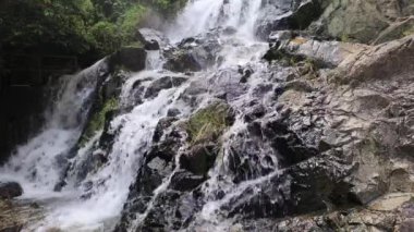 akan şelale yeşilliklerle çevrili, Lantau Adası, Hong Kong