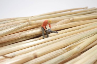 Mini figür kuru camı kesti.