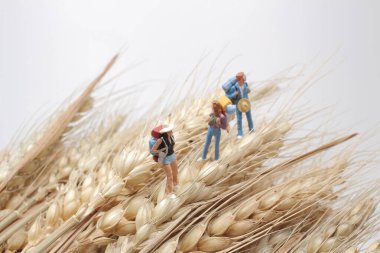 Sahadaki küçük turist figürü..