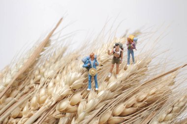 Sahadaki küçük turist figürü..