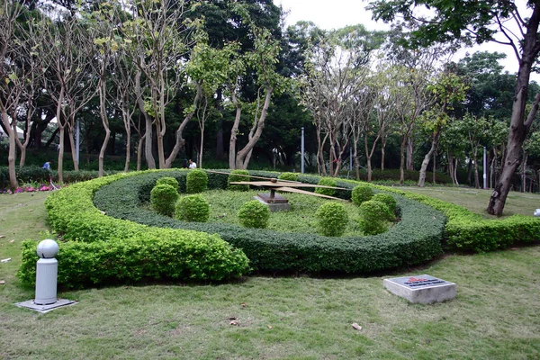 Nov 2004 Landskapet Victoria Parken Hong Kong — Stockfoto