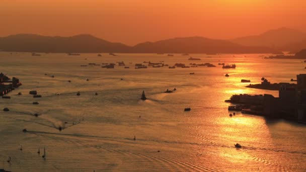 Moving Boats Victoria Harbor Illuminated Orange Sunset Light — Stock Video