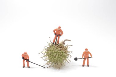 Mini işçi figürlü çivili tohum.