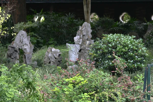 Pierre Jardin Asiatique Parc Kowloon — Photo