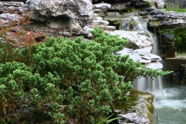 Çin Lingnan Bahçesi 'nde şelale.