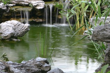 Çin Şelale Bahçesi, Lingnan Bahçesi