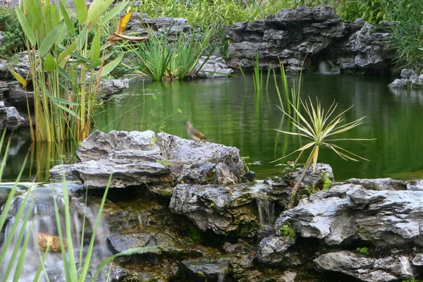 Çin Lingnan Bahçesi 'nde şelale.