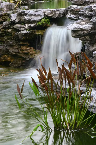 Cascada Vegetación Del Jardín Chino Lingnan — Foto de Stock